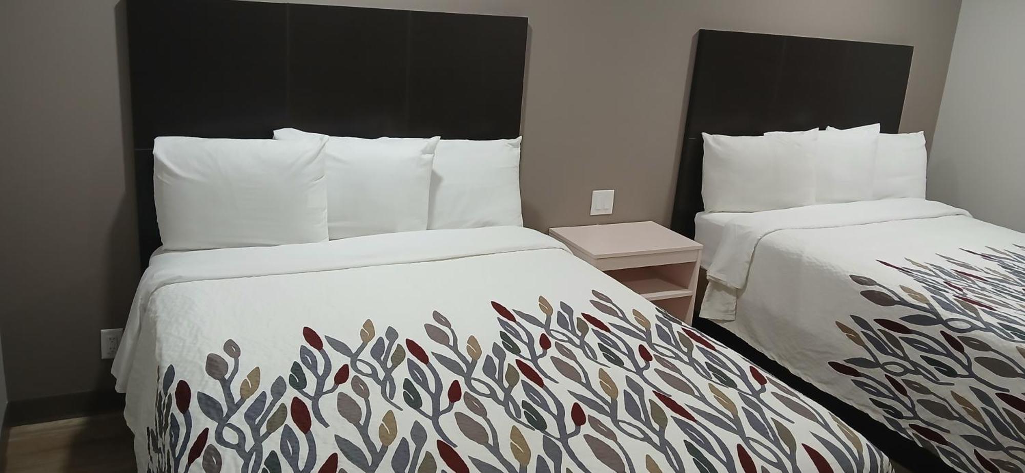 Red Roof Inn & Suites Euless - Dfw Airport Southwest Eksteriør billede