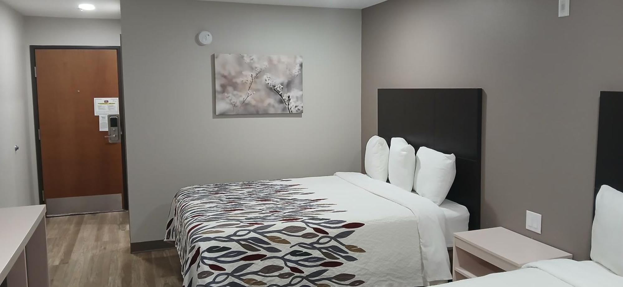 Red Roof Inn & Suites Euless - Dfw Airport Southwest Eksteriør billede