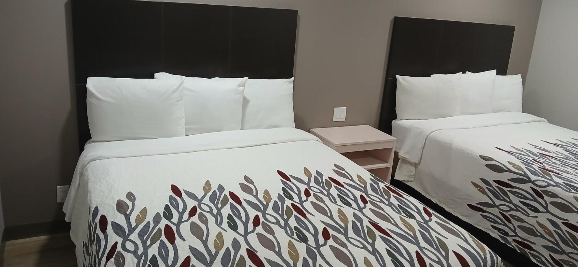 Red Roof Inn & Suites Euless - Dfw Airport Southwest Eksteriør billede